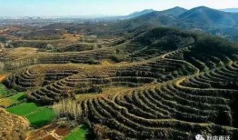 国产三级乡下,国产三级电影的乡村画卷