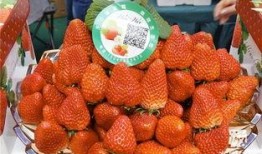 国产草莓在线,甜蜜滋味，绿色健康新选择