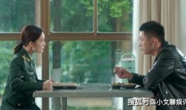 国产电视剧露点,揭秘国产剧中的情感漩涡与人性挣扎