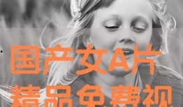 三级国产视频,三级佳作引领潮流